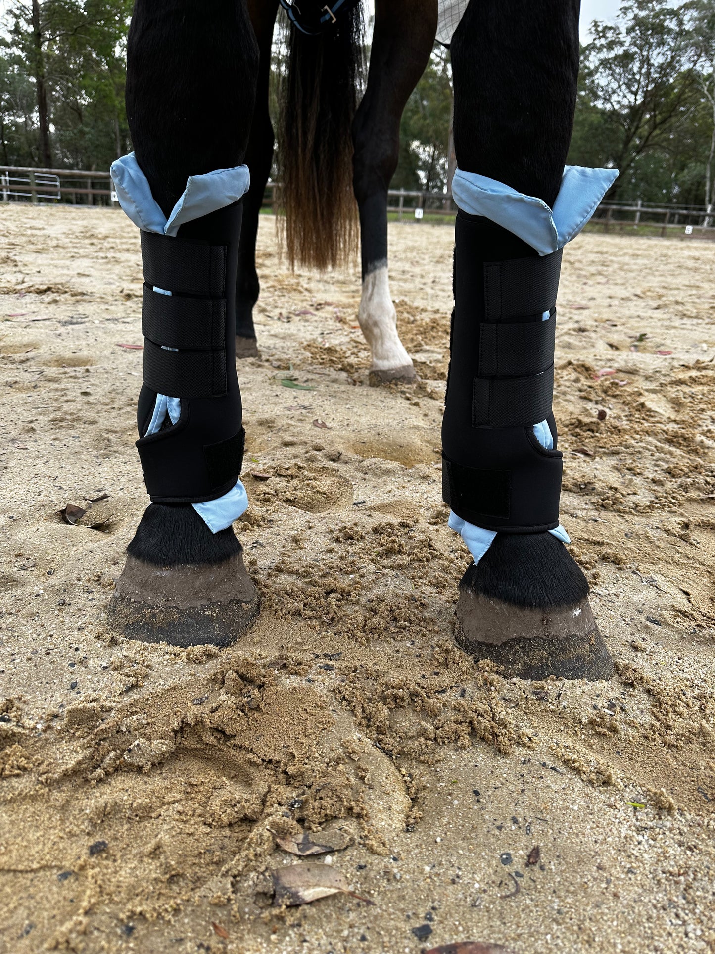 Rest and Recovery Magnetic Tendon Boots