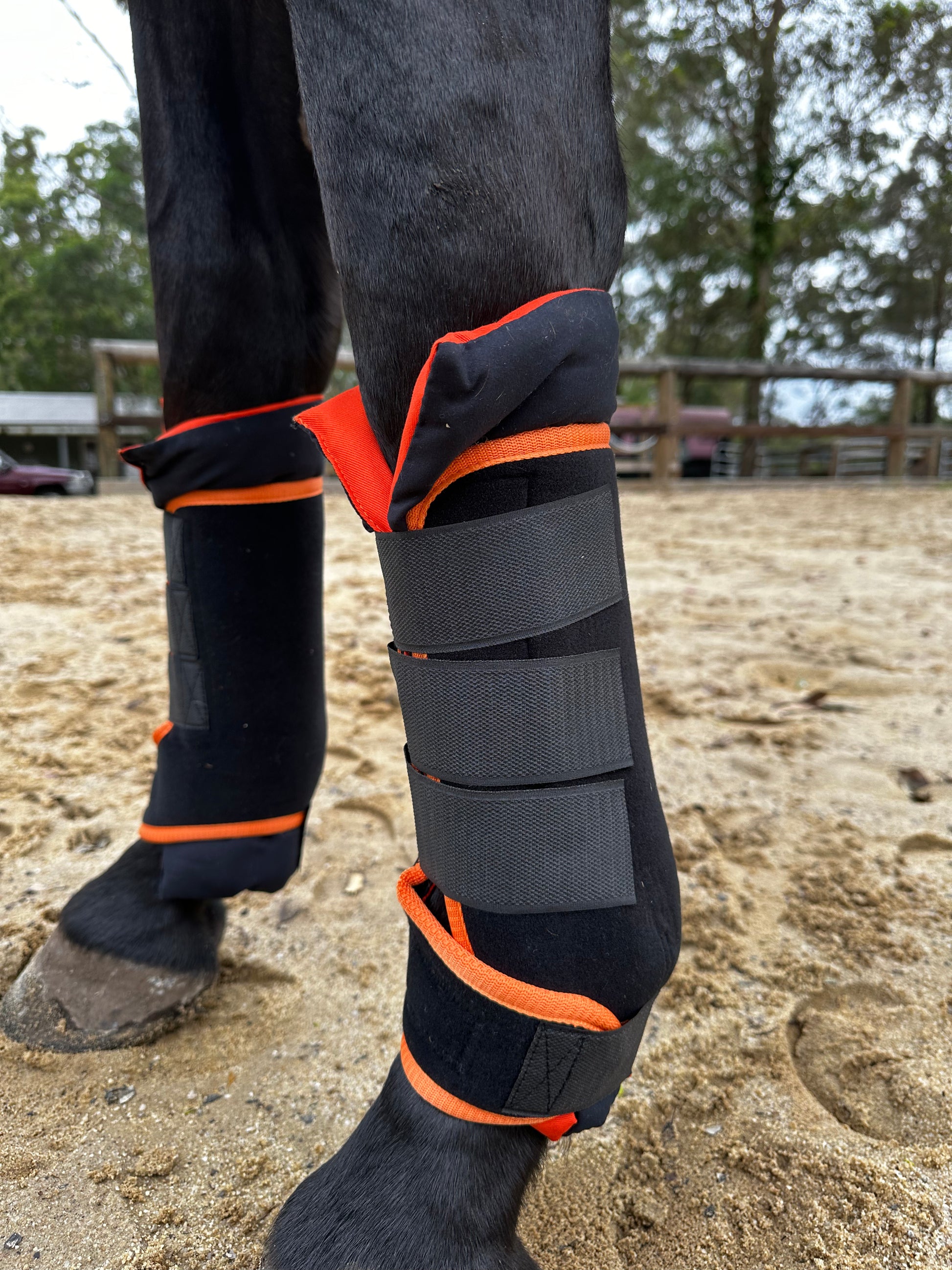 Infrared horse outlet boots