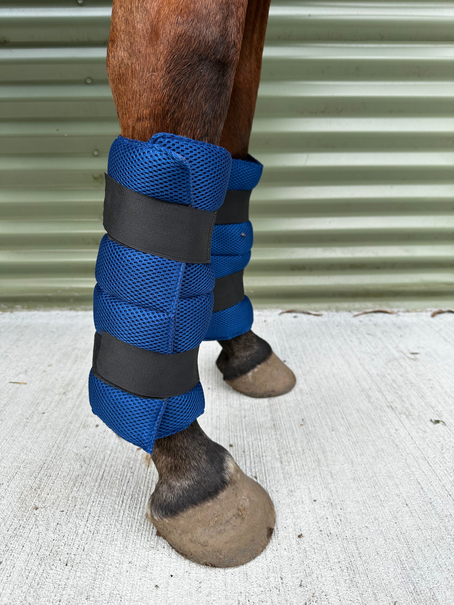 Cooling Tendon Boots